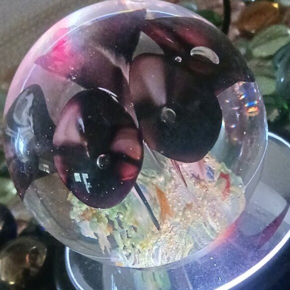 Rare Murano Vtg Paperweight; Burgundy Trumpet Flowers w/ Controlled Bubbles - Picture 5 of 6